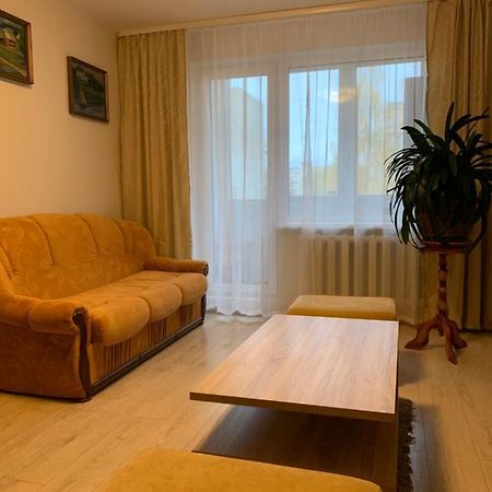 Cosy Appartment In Great Location Kaunas Eksteriør billede