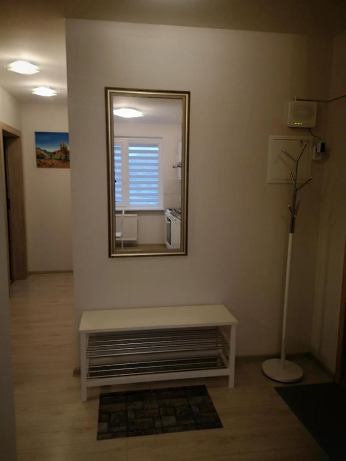 Cosy Appartment In Great Location Kaunas Eksteriør billede